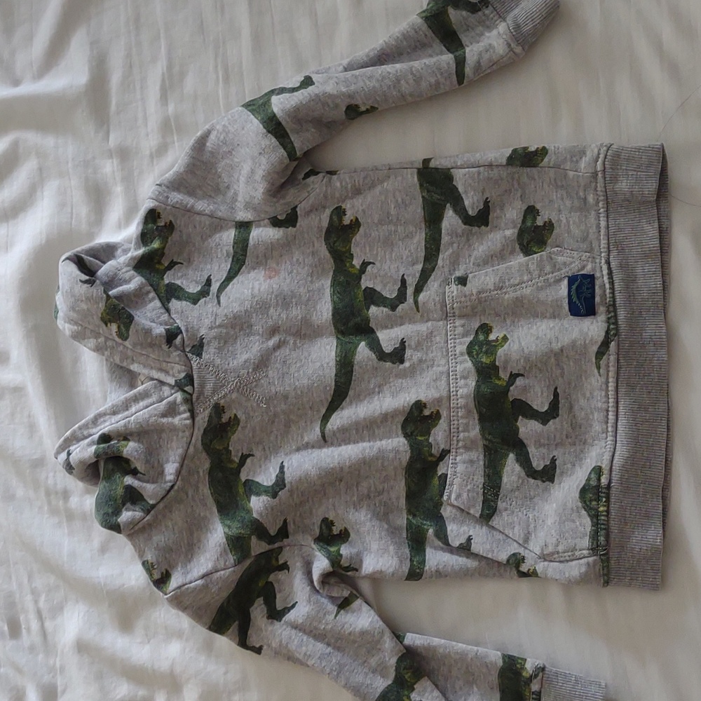 H&M Toddler Boy’s Dinosaur Hoodie Sweater 1.5-2 years